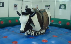 Rodeo Bull rides