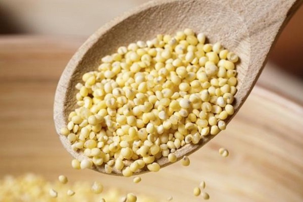 Properties of millet seeds